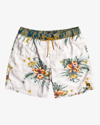 0 Sundays - Boardshort pour Homme Gris C1LB17BIP2 Billabong