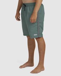 6 Otis Waves 18.5" - Short de Natación para Hombre Verde C1LB42BIP2 Billabong