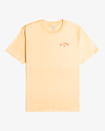 4 Arch Wave - Short Sleeve T-Shirt for Men Pink C1SS06BIP2 Billabong