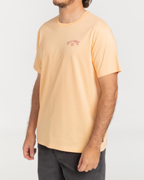 1 Arch Wave - Short Sleeve T-Shirt for Men Pink C1SS06BIP2 Billabong