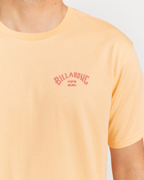 2 Arch Wave - Short Sleeve T-Shirt for Men Pink C1SS06BIP2 Billabong
