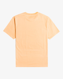 5 Tucked - Short Sleeve T-Shirt for Men Pink C1SS09BIP2 Billabong