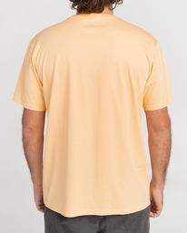 2 Tucked - Short Sleeve T-Shirt for Men Pink C1SS09BIP2 Billabong