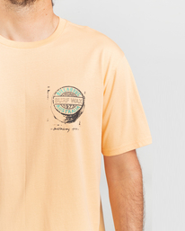 2 Pop - T-shirt met korte mouw voor Heren Pink C1SS27BIP2 Billabong