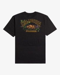 6 Arch Dreamy Place - Short Sleeve T-Shirt for Men  C1SS33BIP2 Billabong