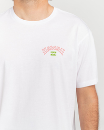 2 Arch Dreamy Place - Short Sleeve T-Shirt for Men White C1SS33BIP2 Billabong