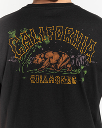 4 Arch Dreamy Place - Short Sleeve T-Shirt for Men  C1SS33BIP2 Billabong