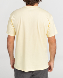3 Isla Vista - Short Sleeve T-Shirt for Men Multi C1SS58BIP2 Billabong