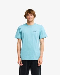 0 Arch Wave Gr&uuml;n C1SS65BIP2 Billabong