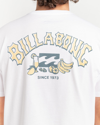 4 Theme Arch - T-Shirt für Männer Weiss C1SS68BIP2 Billabong