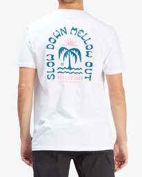2 Heat - T-shirt manches courtes pour Homme Blanc C1SS95BIP2 Billabong