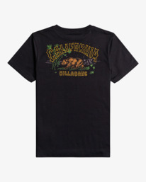 1 Arch Dreamy Place - Camiseta de manga corta para Chicos 8-16  C2SS21BIP2 Billabong