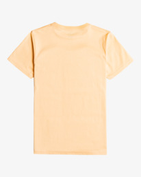 1 Retro Box - Short Sleeve T-Shirt for Boys 8-16  C2SS27BIP2 Billabong