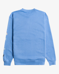 1 Gold Coast - Sweater voor Dames Gray C3CR10BIP2 Billabong