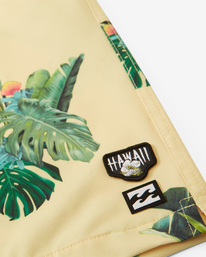 6 Kamea Jungle Layback 17" - Boardshort pour Homme  D1LB11BIS2 Billabong