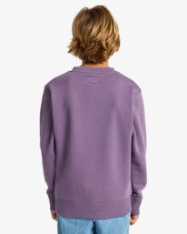 2 Arch Cr - Sudadera de cuello redondo para chicos 8-16 Violeta EBBFT00122 Billabong