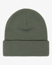 1 Every Other Day - Cuff Beanie for Boys Green EBBHA00118 Billabong
