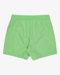 1 All Day Layback 14" - Cal&ccedil;&otilde;es de banho para Rapazes 8-16 Verde EBBJV00115 Billabong