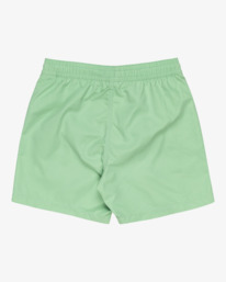 1 All Day Layback - Swim Shorts for Boys 8-16 Green EBBJV00115 Billabong