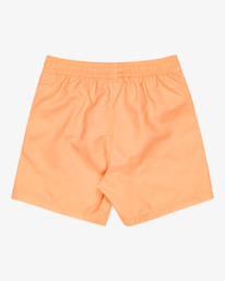 1 All Day Layback - Swim Shorts for Boys 8-16 Orange EBBJV00115 Billabong