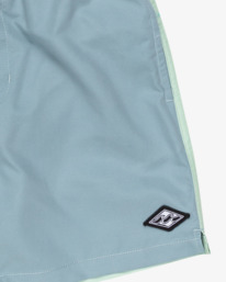 2 Interchange 14" Multi EBBJV00120 Billabong