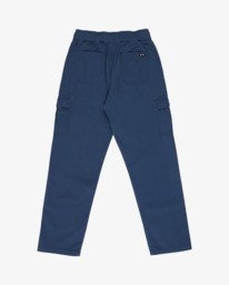 5 Larry Cargo Blue EBBNP03007 Billabong