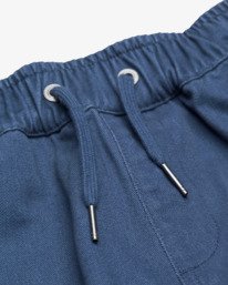 6 Larry Cargo Blue EBBNP03007 Billabong