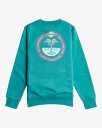 1 Transport - Sweatshirt for Boys 8-16 Green EBBSF00107 Billabong