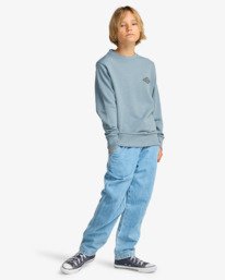 1 Foundation - Sweatshirt para Rapazes 8-16 Azul EBBSF00136 Billabong