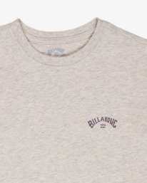 2 Arch Wave - Camiseta de manga corta para chicos 8-16 Gris EBBZT00101 Billabong