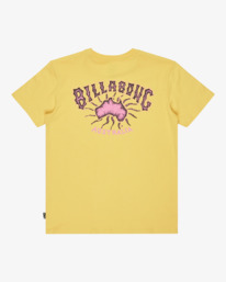 6 Origin - T-Shirt à manches courtes pour Garçon 8-16 ans Jaune EBBZT00184 Billabong