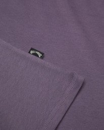 4 Origins Purple EBBZT00217 Billabong