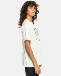 3 California Love - T-shirt pour Femme Blanc EBJZT00148 Billabong