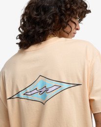 5 Heritage Baker - T-Shirt für Frauen Rosa EBJZT00588 Billabong