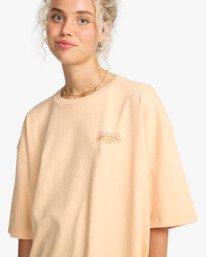 5 Waterfall - T-Shirt f&uuml;r Frauen Rosa EBJZT00591 Billabong