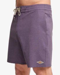 5 Every Other Day Low Tide - Boardshort pour Homme Violet EBYBS00123 Billabong