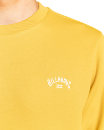 3 Arch - Sudadera para Hombre Amarillo EBYFT00104 Billabong