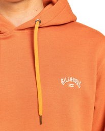 3 Arch - Sweat à capuche pour Homme Rouge EBYFT00106 Billabong
