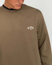 4 Arch - Sweat pour Homme Marron EBYFT00113 Billabong