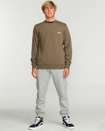 1 Arch - Sweat pour Homme Marron EBYFT00113 Billabong