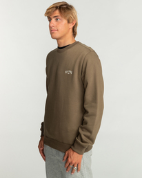 3 Arch - Sweat pour Homme Marron EBYFT00113 Billabong