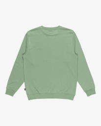 7 Arch - Felpa pullover da Uomo Green EBYFT00131 Billabong