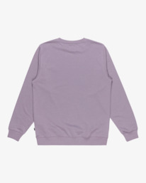 6 Arch - Felpa pullover da Uomo Purple EBYFT00131 Billabong