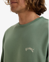 5 Arch - Sweat pour Homme Vert EBYFT00131 Billabong