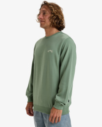 4 Arch - Sweat pour Homme Vert EBYFT00131 Billabong