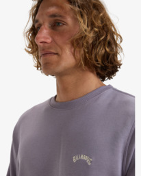 4 Arch - Felpa pullover da Uomo Purple EBYFT00131 Billabong