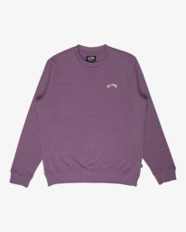 6 Arch Cr - Rundhals-Sweatshirt für Männer Violett EBYFT00146 Billabong