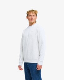 3 Arch Cr Gray EBYFT00146 Billabong