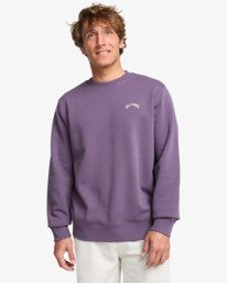 0 Arch Cr - Rundhals-Sweatshirt für Männer Violett EBYFT00146 Billabong