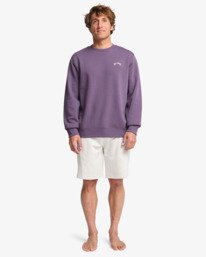 1 Arch Cr - Rundhals-Sweatshirt für Männer Violett EBYFT00146 Billabong
